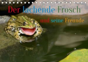 Der lachende Frosch und seine Freunde (Tischkalender 2023 DIN A5 quer)