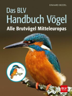 Das BLV Handbuch Vögel