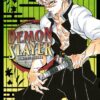 Demon Slayer - Kimetsu no Yaiba 17