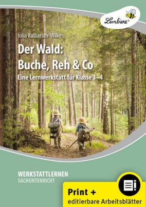 Der Wald: Buche