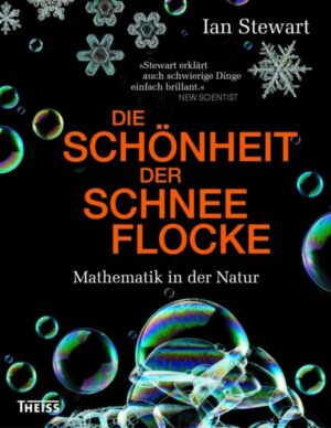 Die Schönheit der Schneeflocke