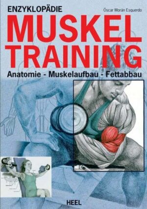 Enzyklopädie Muskeltraining