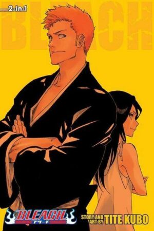 Bleach (2-in-1 Edition)