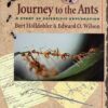 Journey to the Ants