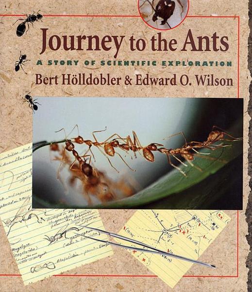 Journey to the Ants