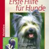 Grundkurs Erste Hilfe für Hunde