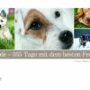 Hunde. 365 Tage mit dem besten Freund