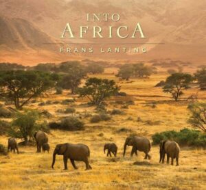 Into Africa