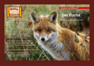 Kamishibai: Der Fuchs