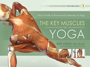 Key Muscles of Yoga: Your Guide to Functional Anatomy in Yoga