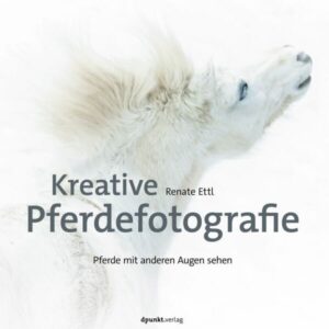 Kreative Pferdefotografie