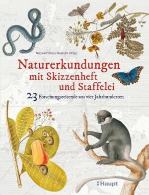 Naturerkundungen mit Skizzenheft und Staffelei