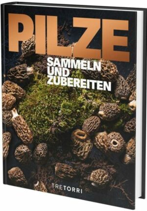 PILZE