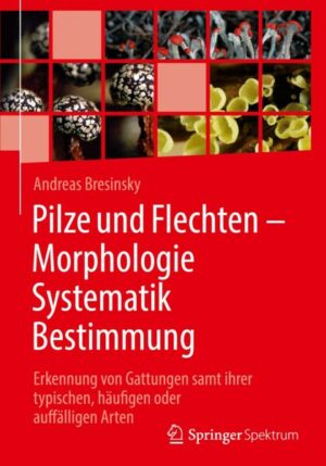 Pilze und Flechten – Morphologie