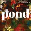 Pond