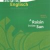 Raisin in the Sun. EinFach Englisch Unterrichtsmodelle