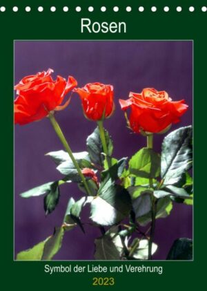 Rosen - Symbol der Liebe und Verehrung (Tischkalender 2023 DIN A5 hoch)