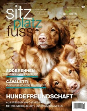 SitzPlatzFuss