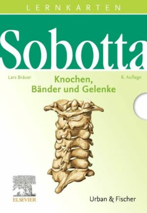 Sobotta Lernkarten Knochen