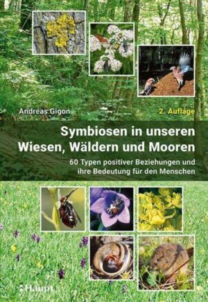 Symbiosen in unseren Wiesen