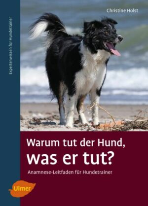 Warum tut der Hund