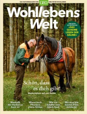 Wohllebens Welt / Wohllebens Welt - 3/2019 Neue Ideen für nachhaltigen Umgang